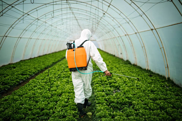 Best Best Pest Control Companies  in Indnola, IA