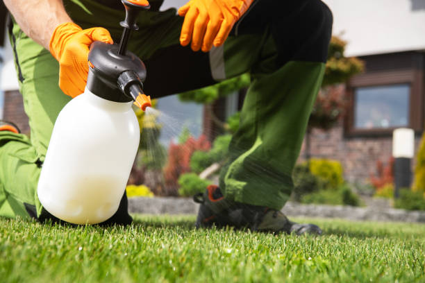 Best Termite Control Services  in Indnola, IA