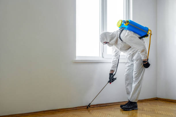 Best Pest Removal Services  in Indnola, IA