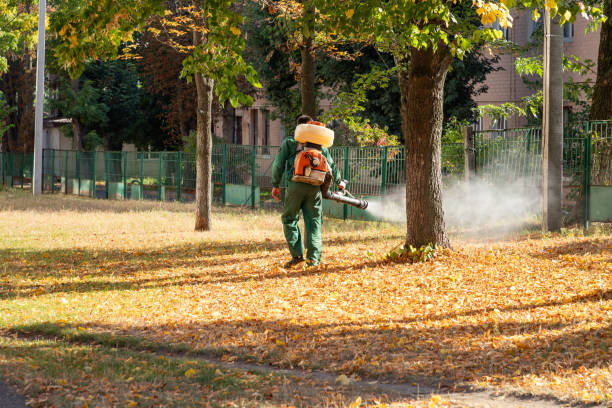 Best Affordable Pest Control Services  in Indnola, IA