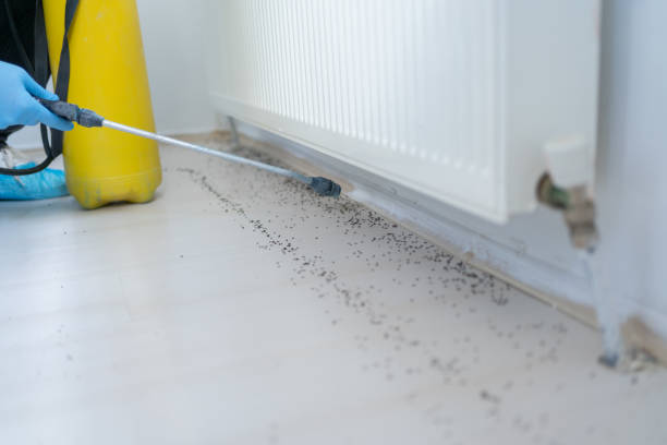 Best Pest Inspection Near Me  in Indnola, IA