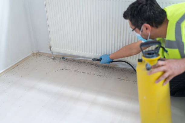 Best Pest Prevention Services  in Indnola, IA