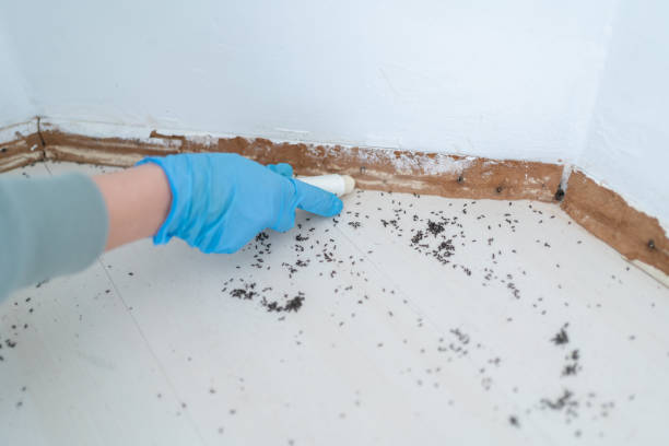 Best Affordable Pest Control Services  in Indnola, IA